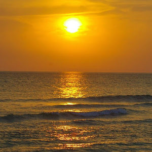 Meet your Posher, Adelia